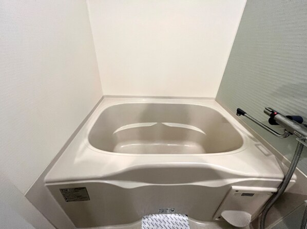 エスレジデンス錦糸町パークサイドの物件内観写真